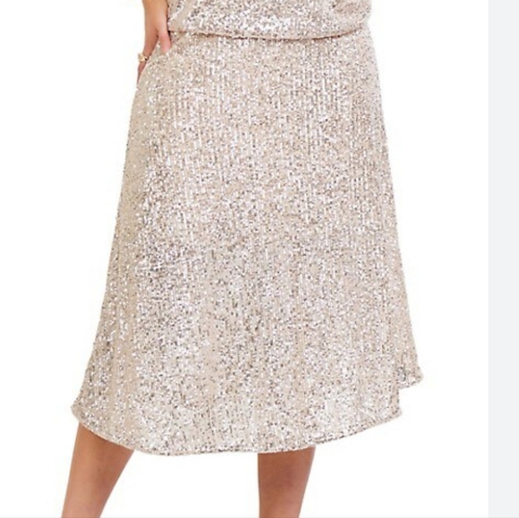 Sequin Midi Skirt - Picture 1 of 5